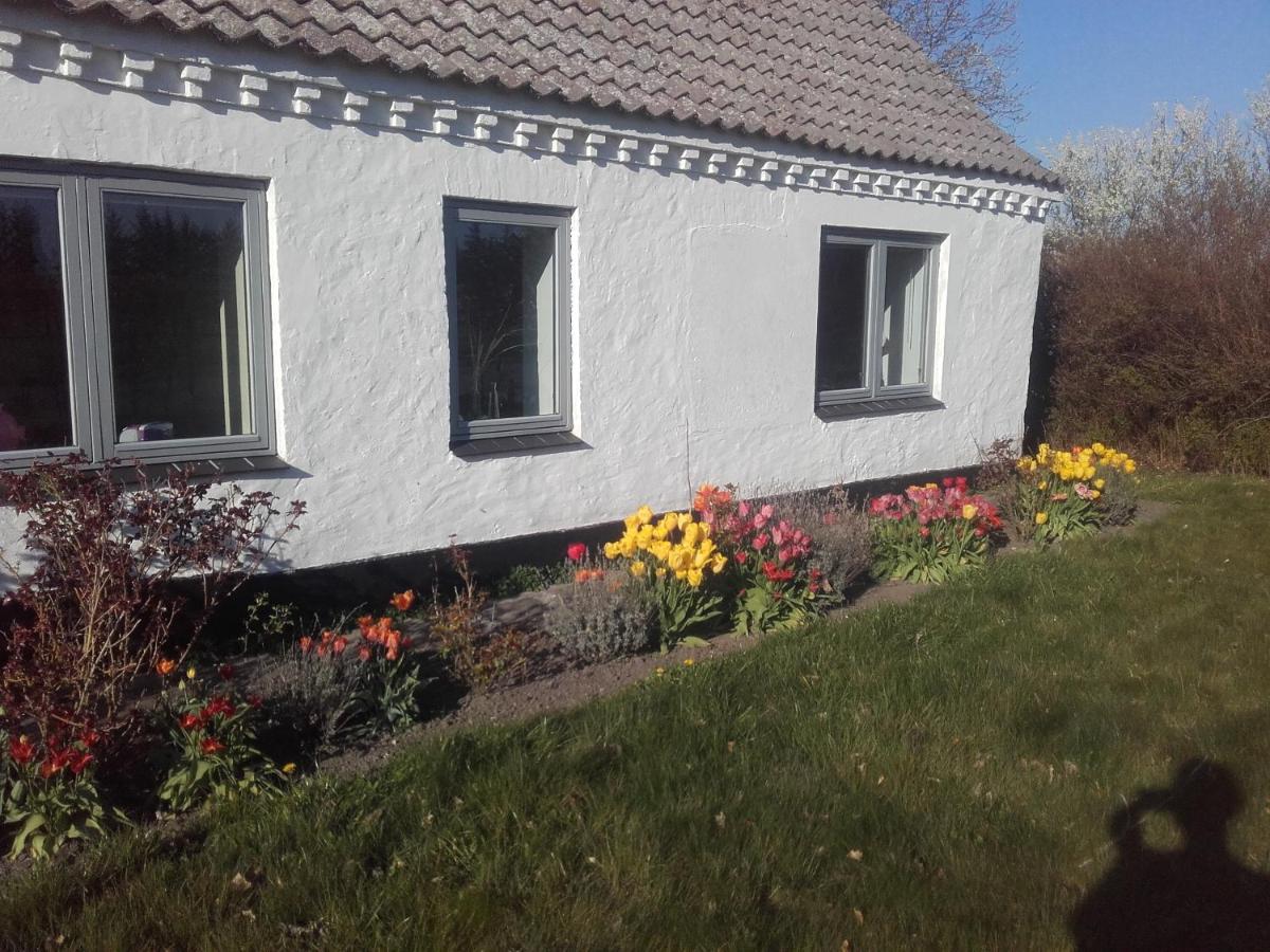 Bed and Breakfast Lindholt Fjerritslev Экстерьер фото